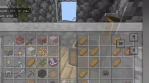 Сид на деревню с розовым биомом