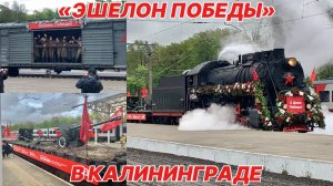 «Эшелон Победы» в честь 80-летия Победы в Калининграде! Локомотив «Л-2344» и тематические экспозиции
