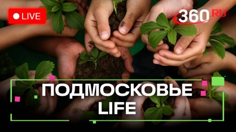 «Кубок Чистоты» в Солнечногорске и «Ожившая летопись войны» в Можайске: Подмосковье LIFE