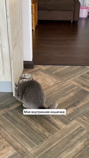 Ну, немножко с е*анцой 🤣 #смешныевидео #семья