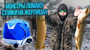 ВОТ ЭТО БОРЬБА / 5 дней ЖИВУ в ПАЛАТКЕ / Весенний ЖОР ЩУКИ 2025