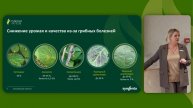 3 шага к сохранению урожая | Причины потери урожая сои |