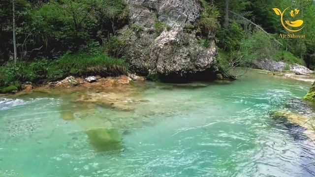 ТУЙДАГИ КУЙОВ КИЛГАН ИШ ТУЙ БУЗИЛИШИГА ОЗ КОЛДИ НОС КАШ  Solixon domla солихон домла