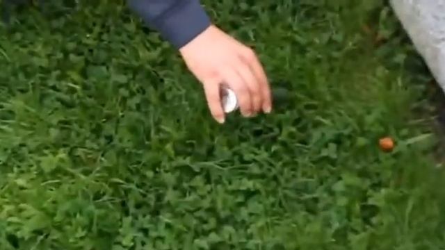 Трептов-парк 06.10.2021 смотреть онлайн