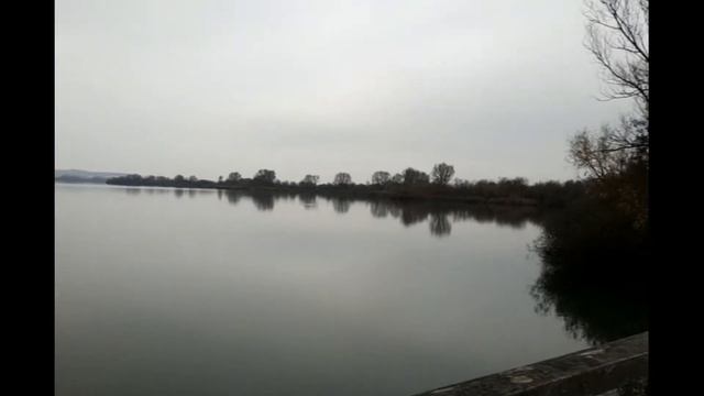 Заповедник Аусзихтштурм Фогелинзель - VOGELINSEL IM ALTMÜHLSEE смотреть онлайн