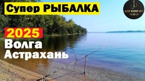 🔥Ведро ВОБЛЫ поймали на червя🔥на Волге в Апреле в Астрахани !!!