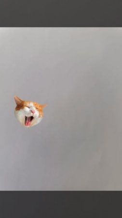 разговоры со мной