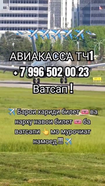 #aviakassa_tj1 #dushanbe #худжанд #куляб #бохтар #shorts #top #tashkent #нар? смотреть онлайн
