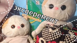 эксперимент