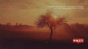 Свет - это наше все Нейрохирурга отстранили За Правду О Свете, Мозге и ДНК