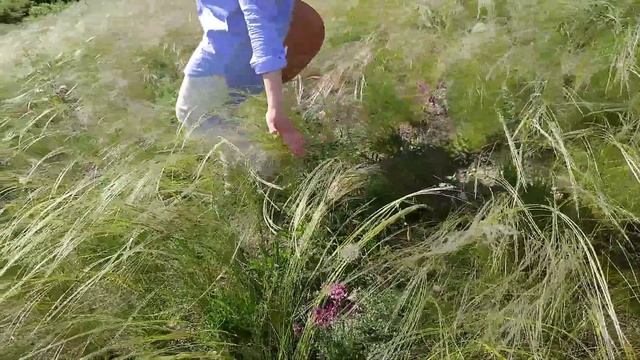 ПІСНЯ👉Научи меня путям Твоим. 🎶▶️🎵#христианскаяпесня #пути #сердце #верить # обещания #научиться смотреть онлайн