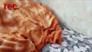 Сделал пародию на пять ночей с фрогги (пять ночей с медведем альфа).