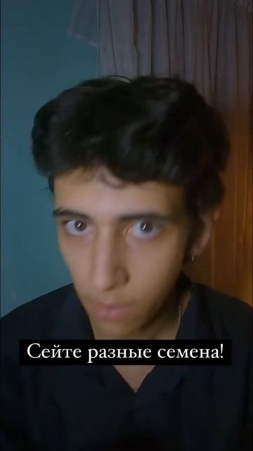Сейте разные семена !