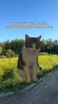 фифти 167