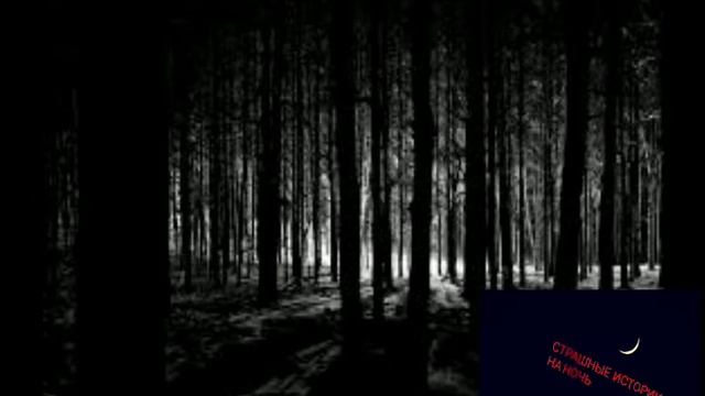 Страшные истории: Ужасы ночной школы смотреть онлайн