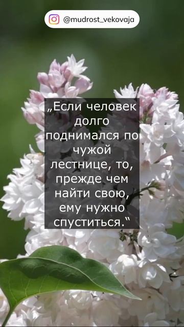 Цитаты древнекитайского философа Лао Цзы.