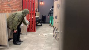 ПРАНК ОБОСРАЛСЯ В ПИСУАР