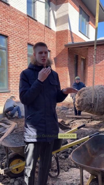 сезон 2024 открыт! #ландшафт #ландшафтныйдизайн #ландшаф