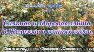 Железов Валерий. Вебинар 338. ч.3. Сильная и здоровая элита В.Железова в сотнях садов.