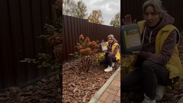 #дачасадогород #дачасвоимируками #садогород #цветник # смотреть онлайн