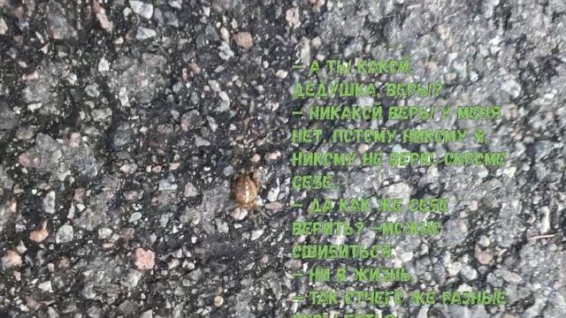 Лев Толстой смотреть онлайн