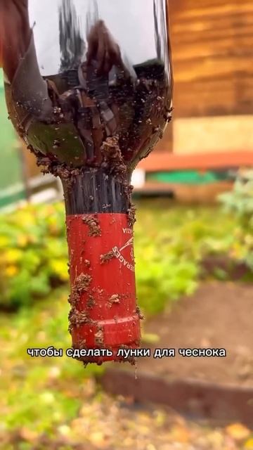 Быстро посадить чеснок ? Легко 👍 #дача #загородом #чес? смотреть онлайн