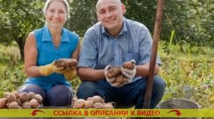 ⭐ КАК ИЗБАВИТЬСЯ ОТ ПЕРИЯ НА ОГОРОДЕ БЫСТРО ⚫ ОТРАВА ?