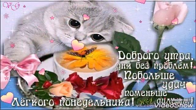 С Понедельником🌸.