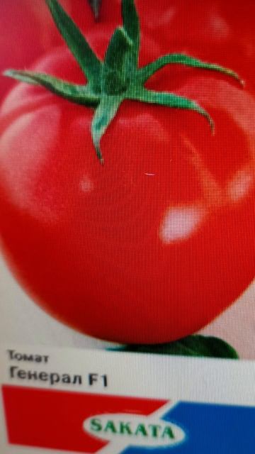 Самый лучший томат в мире 2025 г.!Высокоурожайный,вкусны смотреть онлайн