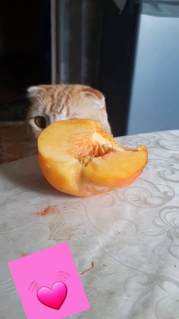 Ну Семён Семёныч