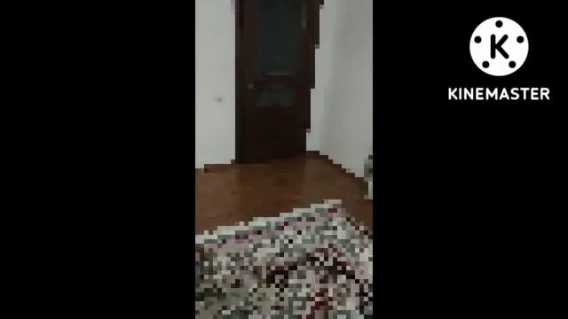 радужные друзья превратились в пиксели
