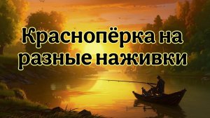 Рыбалка, краснопёрка на разные наживки.