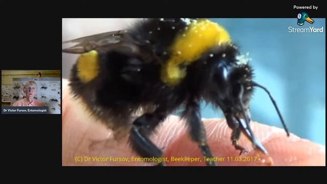 ДИВОВИЖНИЙ МІКРО СВІТ🐞 МІКРО КОМАХ. НАУКА ЕНТОМОЛОГІЯ. Методи Зборів і Наукових Досліджень.