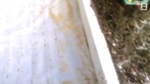 КУДА ИСЧЕЗАЮТ ПЧЕЛЫ ОСЕНЬЮ? СЛЁТ ПЧЁЛ? ПАСЕКЕ КОНЕЦ. ДЛ