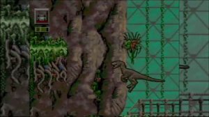 Jurassic Park: Rampage edition, Sega Genesis, Raptor. Прохождение (walkthrough)