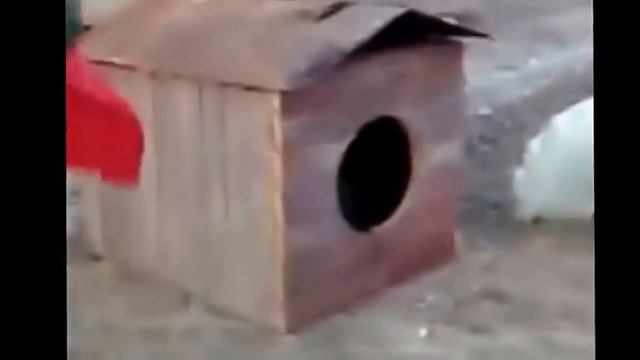 Армейские приколы  смешные и забавные ситуации Army laid up  funny and amusing situations