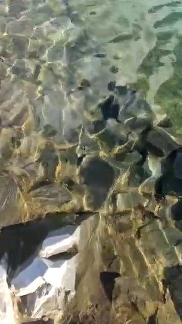 Искусственный водоем