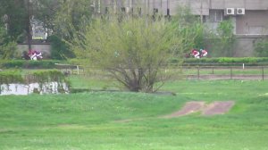 27.04.2025г скачка 4