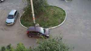 Поздравление на свадьбу друзей в стиле Сержа Горелого