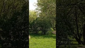 06.05.25. прогулка по местам моего детства