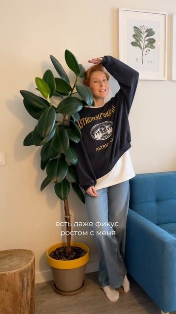 рецепт идеального грунта можно найти у меня в инсте 🧡 смотреть онлайн