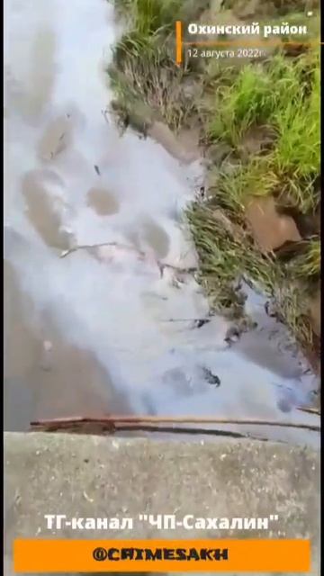 Река Охинка - возможный источник загрязнения залива Уркт смотреть онлайн