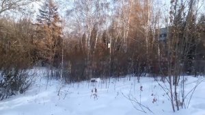 Погода каждый день Иркутск, Irkutsk, 13.02.2017, #mreporter