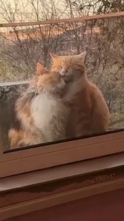Это любовь