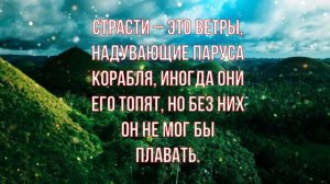 ВСЕ ОТВЕТЫ!! В этих словах. Мудрые цитаты#41