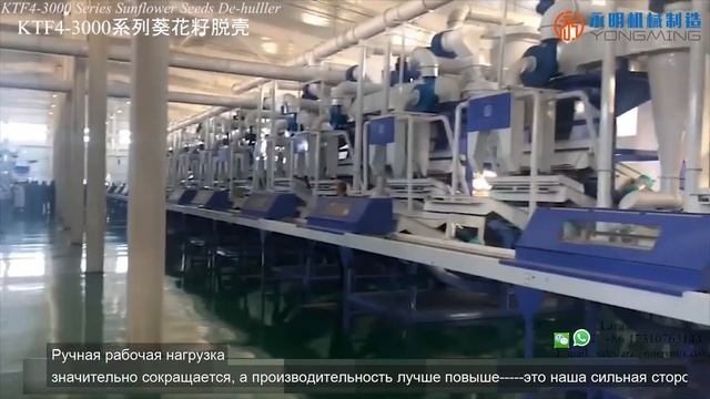 Лущение семян подсолнечника серии KTF4 3000 смотреть онлайн