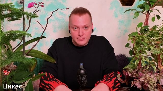 🌵НЕ ЛЮБИШЬ ЧАСТЫЕ ПЕРЕСАДКИ?ТОГДА ЭТИ РАСТЕНИЯ ДЛЯ Т?