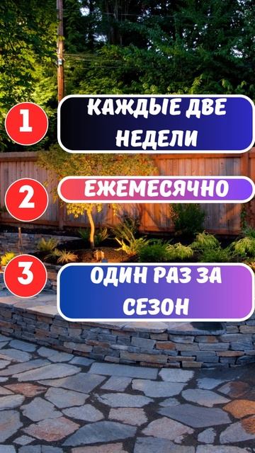 🍅🥒Как часто нужно удобрять землянику в период плодо