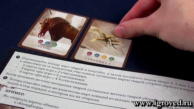 Фантастические твари. Обзор настольной игры от компании Стиль Жизни смотреть онлайн