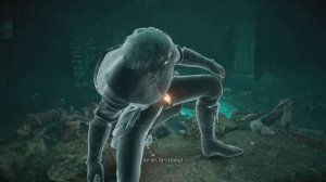 Demon's Souls Гиена Лоскутик